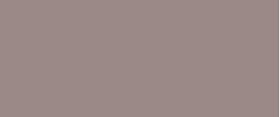 Peinture Color Resist murs et boiseries Brun Cachemire mat 0,5 L - DULUX VALENTINE