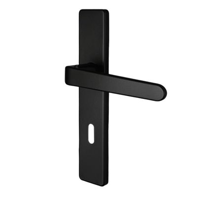 Poignées de porte sur plaques à clé double entraxe Celio noir mat ALPERTEC