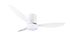 Ventilateur de plafond avec lumière LED + télécommande Blanc Ø132cm - Göteborg REALITY