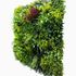 Mur végétal artificiel luxury 1m x 1m AG'CO