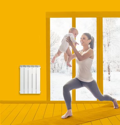 Radiateur à inertie sèche Thébé 750 W UNIVR CHAUFFAGE