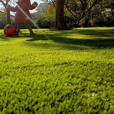 Gazon synthétique Natura 42 mm 4 m x 4 m AG'CO Livraison à domicile incluse