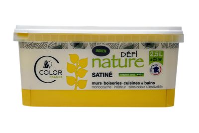 Peinture naturelle murale Indien satin 2,5 L - DEFI NATURE