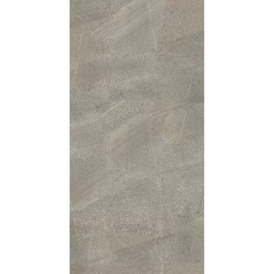 Panneau mural de douche 100x255 cm taupe sablé DecoDesign Décor - SCHULTE
