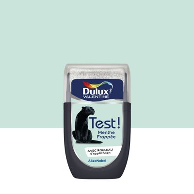 Testeur couleur Menthe Frappée 30ml - DULUX VALENTINE