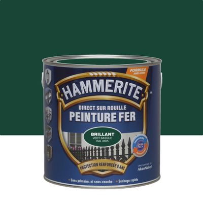 Peinture fer extérieur direct sur rouille Finition vert basque RAL 6005 Brillant 2,5 L - HAMMERITE