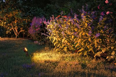 Spot LED extérieur blanc chaud IP67 6,3W 280 lumens 24V - Sting Plug & Shine PAULMANN