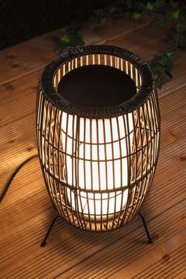 Lanterne lumineuse extérieur LED Link+Light noir IP44 70 lumens blanc chaud - PAULMANN