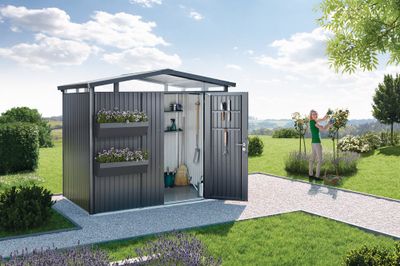Abri de jardin en métal Panorama 4.33 m² gris foncé 1 porte BIOHORT Livraison à domicile incluse