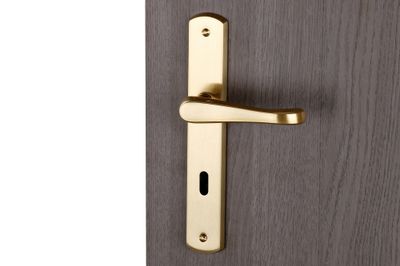 Poignées de porte sur plaques à clé Lucinda poli satiné ALPERTEC