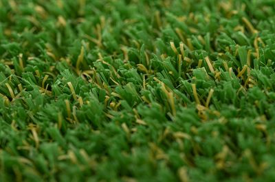 Gazon synthétique Petit Dune largeur de rouleau 4m ép. 10 mm vendu au m² BFS EUROPE