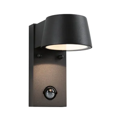 Applique extérieur LED IP44 détecteur de mouvements 600 lumens blanc chaud Anthracite - Capea PAULMANN