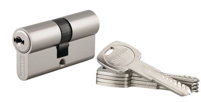 Cylindre de serrure double entrée 30 x 30 mm Trafic 6 haute sécurité nickelé 5 clés THIRARD