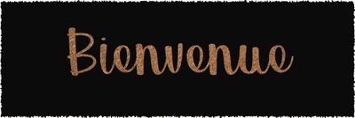 Tapis coco marche bienvenue noir 25 x 75 cm - ID HOME