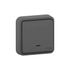 Interrupteur va-et-vient IP55 + témoin lumineux encastré anthracite - Mureva Styl SCHNEIDER ELECTRIC