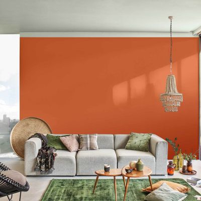 Testeur couleur Terre Cuite 30 mL - DULUX VALENTINE