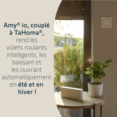 Télécommande avec capteur de température AMY 1 Modes io - SOMFY
