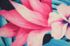 Tapis Boston home tropical - 40x60cm - ID HOME