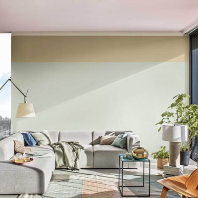 Testeur couleur Douceur de l'Aube 30 mL - DULUX VALENTINE