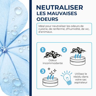 Destructeur d'odeurs Fraîcheur matinale STARWAX