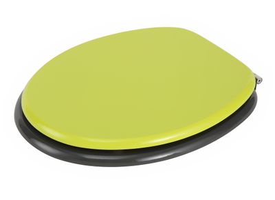 Abattant de WC Vert/Gris