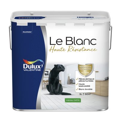 Peinture acrylique Haute Resistance Blanc satin 5 L - DULUX VALENTINE