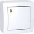 Bouton poussoir avec témoin lumineux blanc - Alréa SCHNEIDER ELECTRIC
