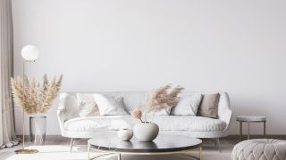 Nomenclature Peinture intérieure blanche pour murs et plafonds