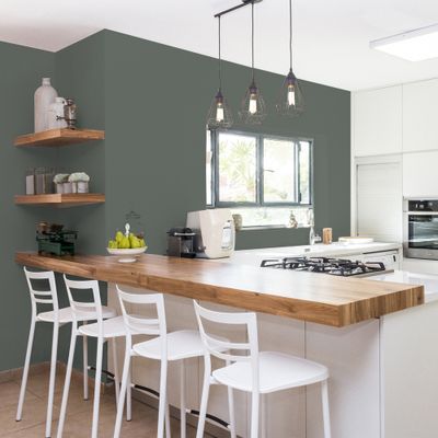 Peinture Cuisine & Bain Vert Galane satin 0,75L RIPOLIN