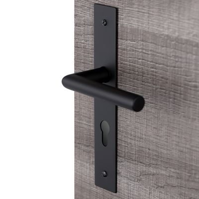 Poignées de porte sur plaques à cylindre Edison noir ALPERTEC