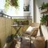 Canisse carex naturel TOMAYA 100 x 300cm - WINDHAGER