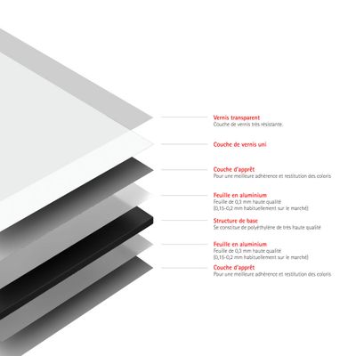 Panneau mural de douche 120x210 cm blanc DécoDesign Couleur - SCHULTE