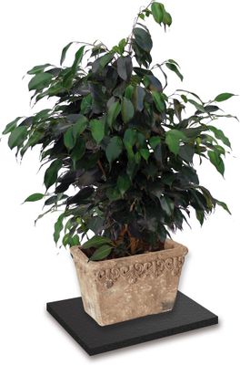 Dalle anti-vibrations 60 x 60 cm épaisseur 10 mm ID HOME