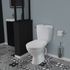 WC à poser sans bride NF Noeli - GODART