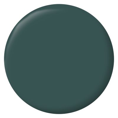 Peinture murs, boiseries et radiateurs vert armerie mat 2,5 L - RIPOLIN