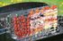 Barbecue à charbon de bois EXEL GRILL - SOMAGIC Livraison à domicile incluse