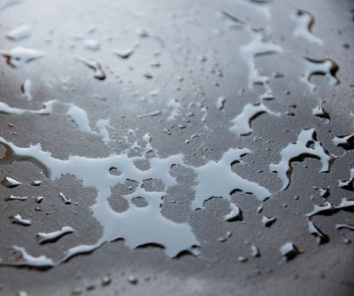 Imperméabilisant pour façade, sol et toit 1 l by DIP ETANCH - RIPOLIN