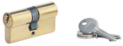 Cylindre de serrure double entrée 30 x 30 mm laiton 3 clés SERRUPRIX