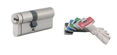 Cylindre de serrure double entrée débrayable 30 x 40 mm Transit 2 très haute sécurité nickelé 5 clés THIRARD
