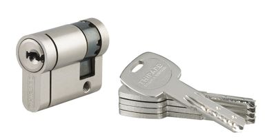 Demi-cylindre de serrure 30 x 10 mm Transit 2 très haute sécurité nickelé 5 clés THIRARD