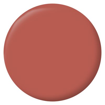Peinture murs, boiseries et radiateurs rouge chianti velours 2,5 L - RIPOLIN
