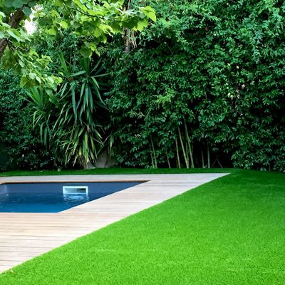 Gazon synthétique Cassis 20 mm 2 m x 3 m AG'CO