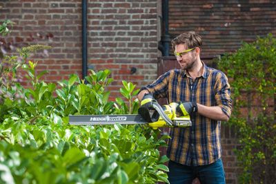 Taille-haie à batterie 36 V lame 60 cm C61R04F RYOBI