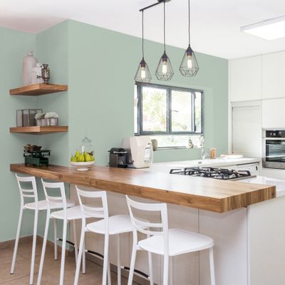 Peinture Cuisine & Bain Vert Palatino satin 2L RIPOLIN