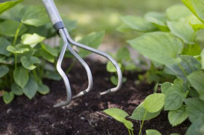 Cultivateur 3 dents manche courbé Ergonomic