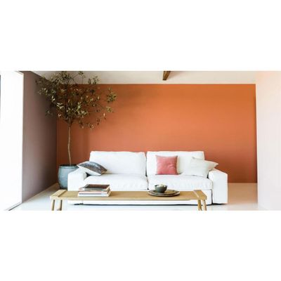 Peinture crème de couleur Orange Confite Satin 0,5 L - DULUX VALENTINE