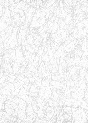 Papier à peindre intissé effet crépi 25 m x 1.06 m AS CREATION