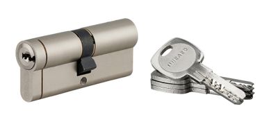 Cylindre de serrure double entrée 40 x 40 mm Transit 1 haute sécurité nickelé 5 clés THIRARD