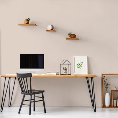 Peinture murs, boiseries et radiateurs café au lait velours 0,5L RIPOLIN