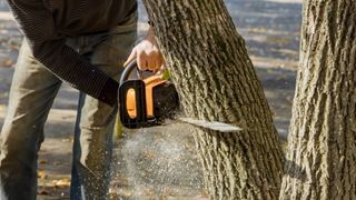 Nomenclature Tronçonneuse et élagueur